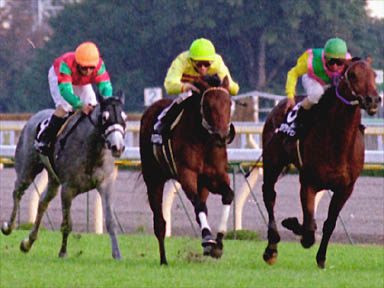 2000/11/04 東京09R