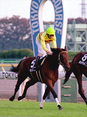 2000/11/04 東京09R
