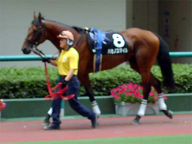 2001/06/23 福島09R