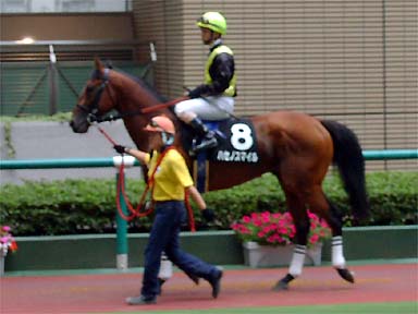 2001/06/23 福島09R