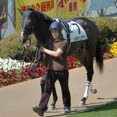 2008/03/22 R08R