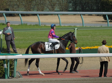 2008/03/22 R08R