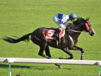 2013/10/06 京都11R