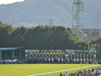 2013/10/06 京都11R