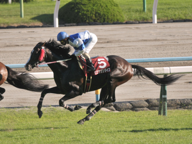 2013/10/06 京都11R