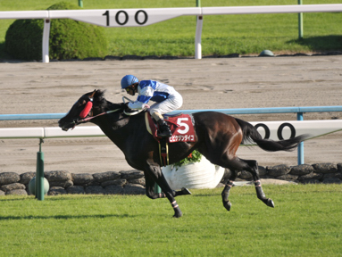 2013/10/06 京都11R
