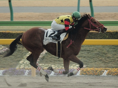 2008/02/23 東京07R