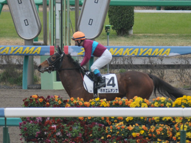 2016/03/13 中山08R