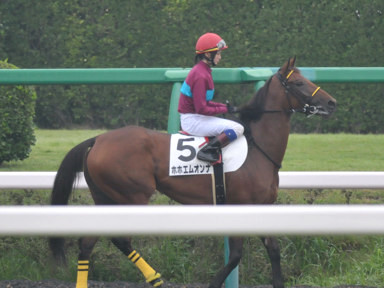 2016/10/01 中山06R
