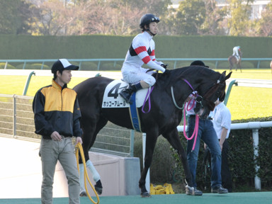 2015/03/28 阪神12R