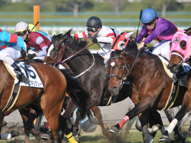 2015/03/28 阪神12R