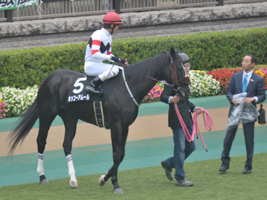 2015/11/23 東京10R