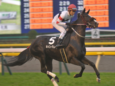 2015/11/23 東京10R