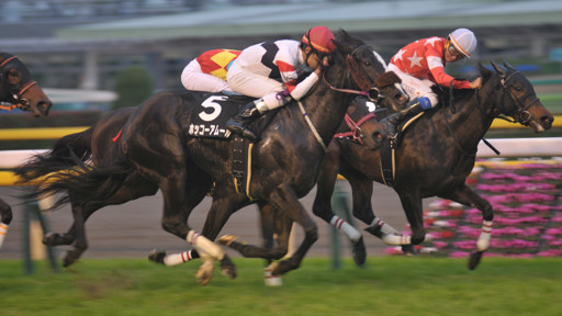 2015/11/23 東京10R