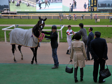 2015/11/23 東京10R