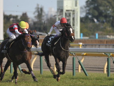 2016/02/14 東京10R