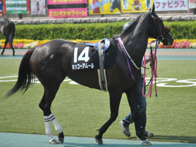 2016/05/22 東京10R