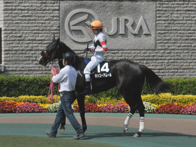2016/05/22 東京10R