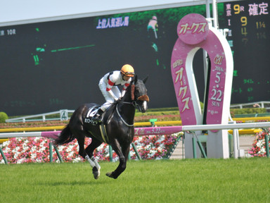 2016/05/22 東京10R