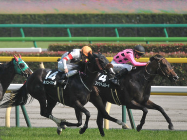 2016/05/22 東京10R