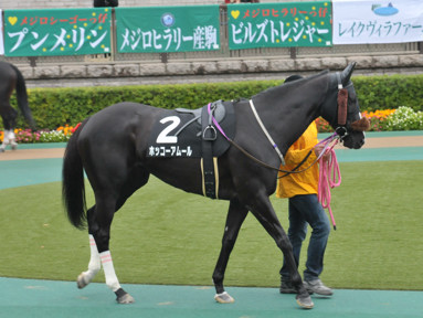 2016/11/19 東京10R
