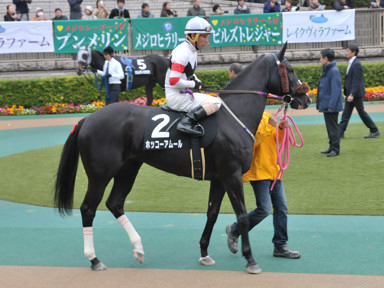 2016/11/19 東京10R