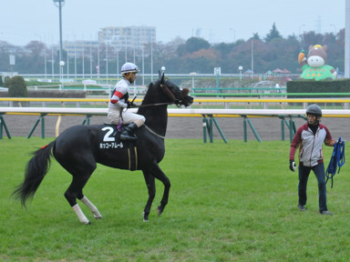 2016/11/19 東京10R