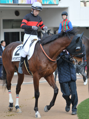 2025/01/25 中山08R