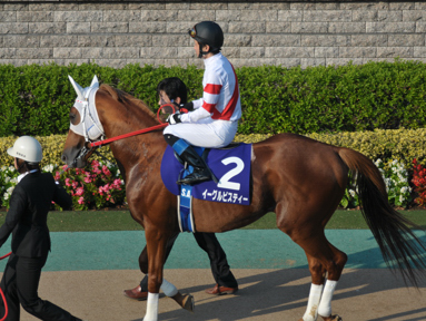 2011/10/10 東京11R