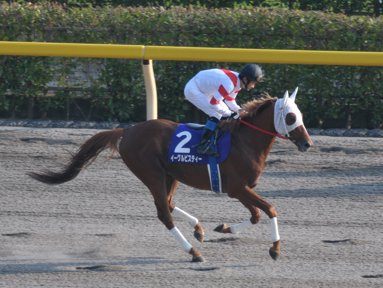 2011/10/10 東京11R