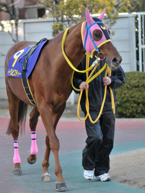 2013/01/30 川崎11R