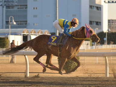 2013/01/30 川崎11R