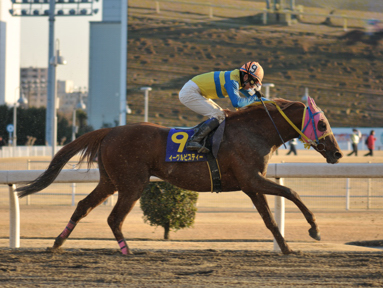 2013/01/30 川崎11R
