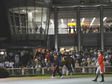 2013/09/18 大井11R