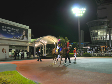2013/09/18 大井11R
