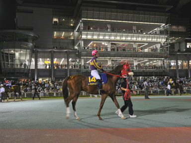 2013/09/18 大井11R