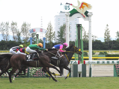 2016/10/22 新潟10R