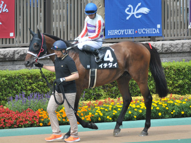 2018/06/17 東京10R