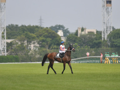 2018/06/17 東京10R