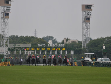 2018/06/17 東京10R
