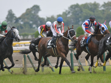 2018/06/17 東京10R