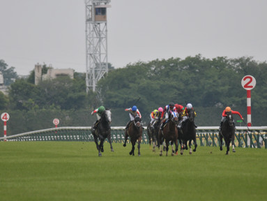 2018/06/17 東京10R