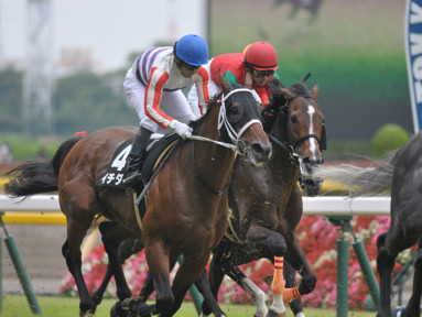 2018/06/17 東京10R