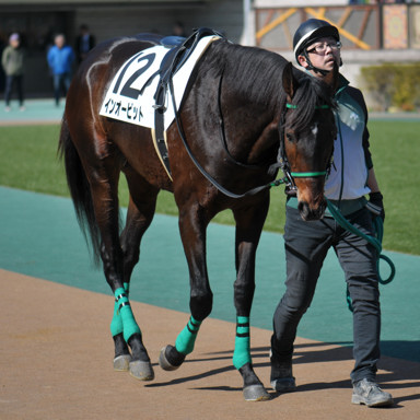 2024/02/10 東京04R
