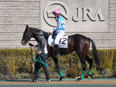 2024/02/10 東京04R
