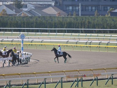 2024/02/10 東京04R