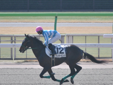 2024/02/10 東京04R