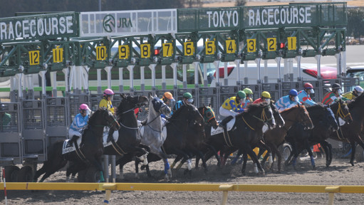 2024/02/10 東京04R