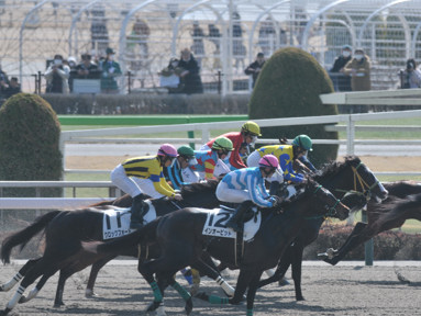 2024/02/10 東京04R