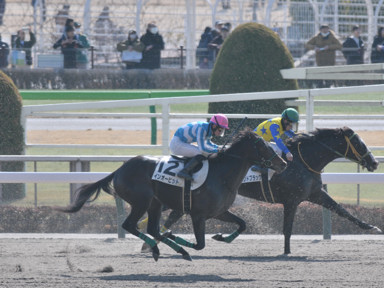 2024/02/10 東京04R